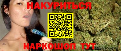 индика Обнинск
