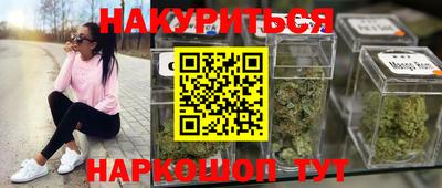 индика Обнинск