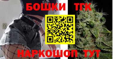 индика Обнинск