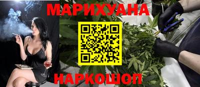 индика Обнинск