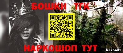 индика Обнинск